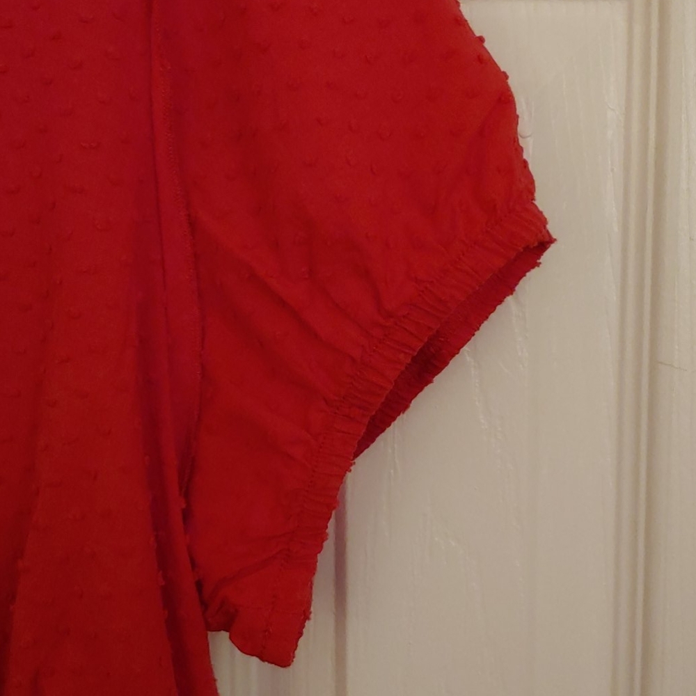 Torrid blouse - Picture 3 of 5